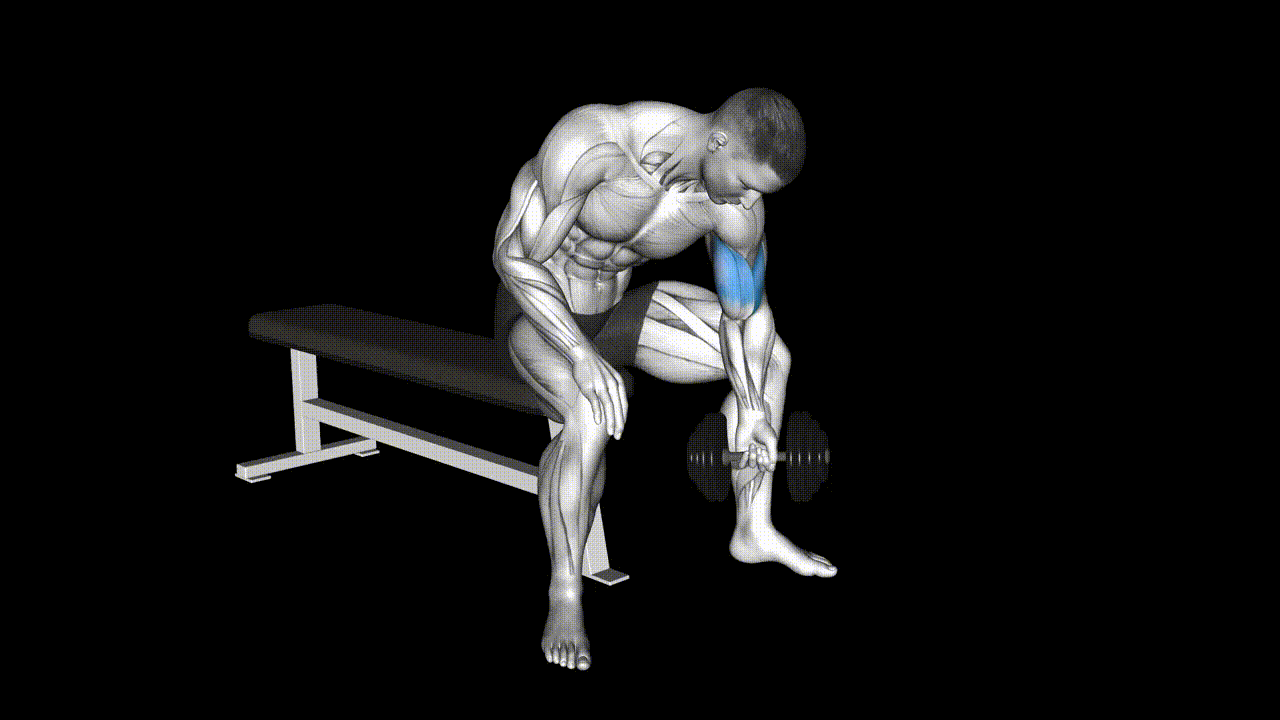 Dumbbell Concentration Curl